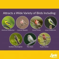 20 lbs. Finch Small Songbird Wild Bird Mix by Lyric 14 20 lbs. Finch Small Songbird Wild Bird Mix by Lyric -Cheap Bird & Wildlife Supplies Store lyric bird seed food 2647337 44 1000