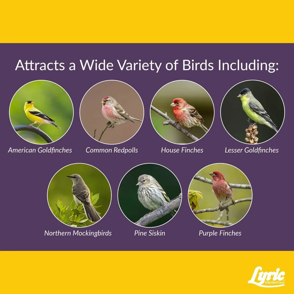 20 lbs. Finch Small Songbird Wild Bird Mix by Lyric 6 20 lbs. Finch Small Songbird Wild Bird Mix by Lyric - Image 6