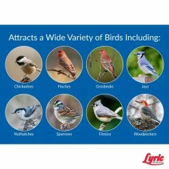 40 lbs. Wild Bird Mix by Lyric 10 40 lbs. Wild Bird Mix by Lyric -Cheap Bird & Wildlife Supplies Store lyric bird seed food 2647338 44 1000