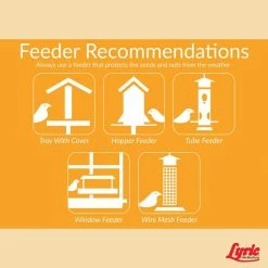 20 lbs. Chickadee Wild Bird Mix by Lyric 13 20 lbs. Chickadee Wild Bird Mix by Lyric -Cheap Bird & Wildlife Supplies Store lyric bird seed food 2647341 1f 1000