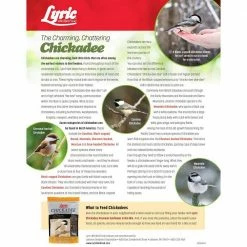 20 lbs. Chickadee Wild Bird Mix by Lyric 17 20 lbs. Chickadee Wild Bird Mix by Lyric -Cheap Bird & Wildlife Supplies Store lyric bird seed food 2647341 31 1000
