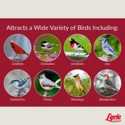 20 lbs. Fruit and Nut High Energy Wild Bird Mix by Lyric -Cheap Bird & Wildlife Supplies Store lyric bird seed food 2647346 44 1000
