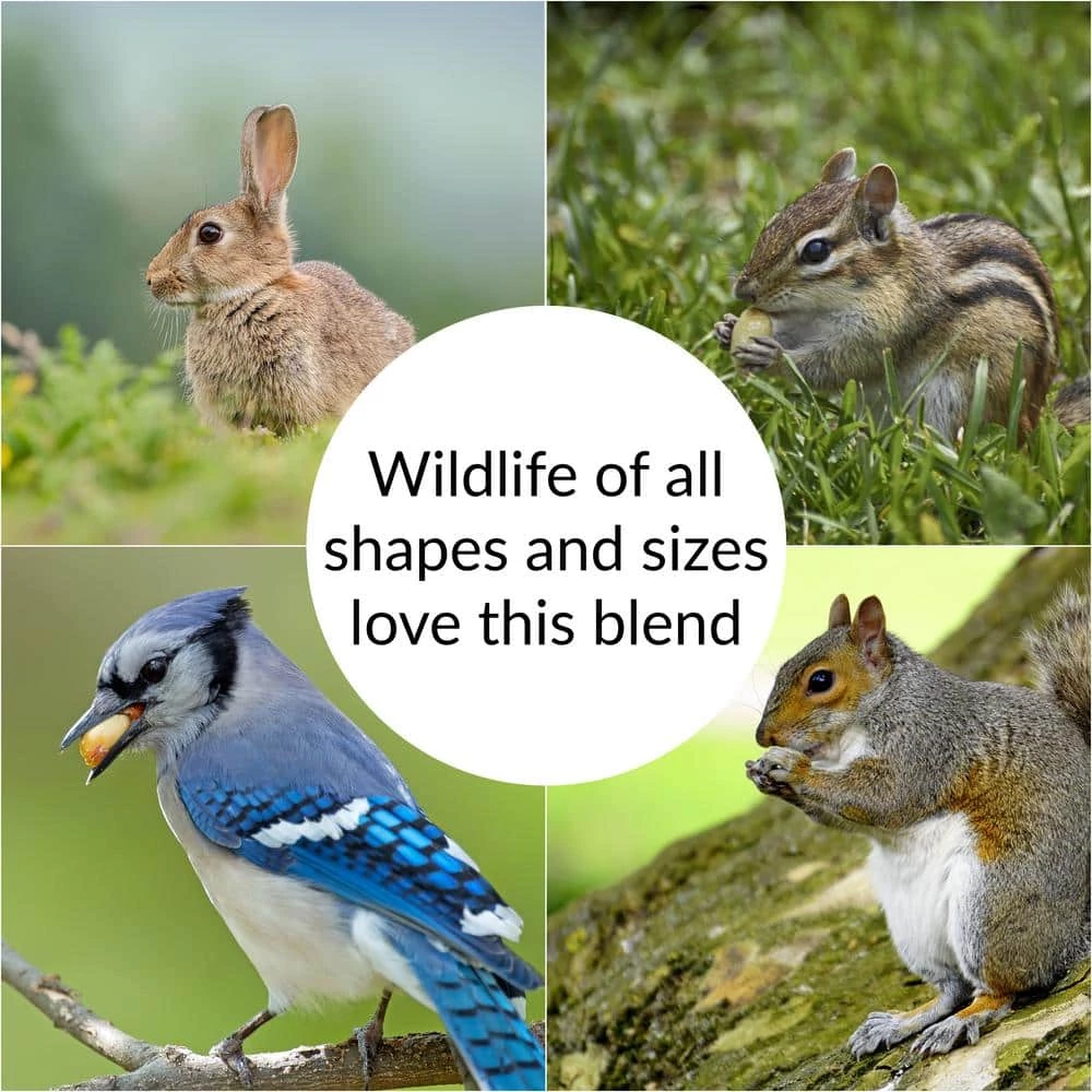 10 lb. Wildlife Food by Lyric 6 10 lb. Wildlife Food by Lyric - Image 6