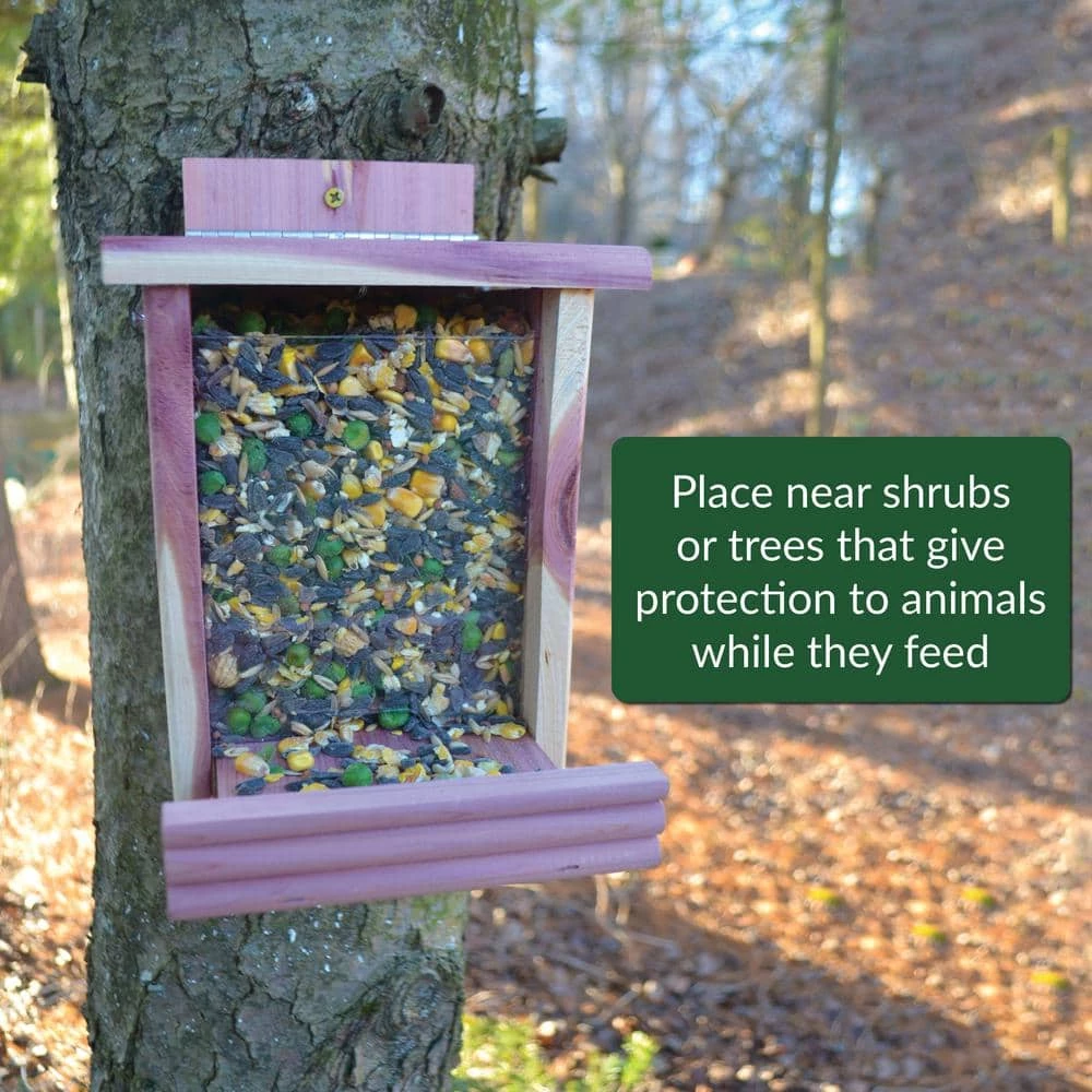 10 lb. Wildlife Food by Lyric 7 10 lb. Wildlife Food by Lyric - Image 7