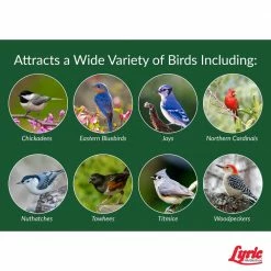 15 lbs. Peanut Pieces Wild Bird Food by Lyric 12 15 lbs. Peanut Pieces Wild Bird Food by Lyric -Cheap Bird & Wildlife Supplies Store lyric bird seed food 2647452 fa 1000