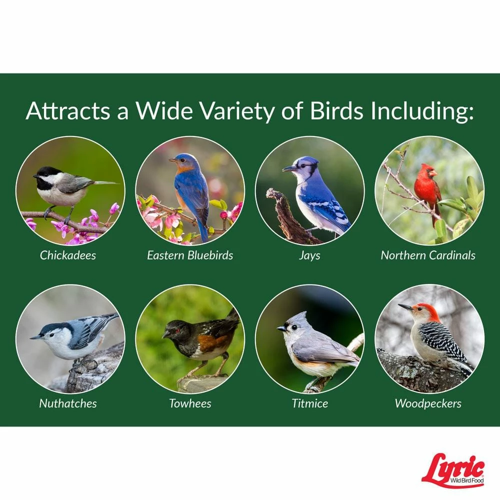 15 lbs. Peanut Pieces Wild Bird Food by Lyric 6 15 lbs. Peanut Pieces Wild Bird Food by Lyric - Image 6