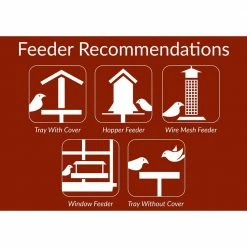 12 lbs. Golden Safflower Wild Bird Seed by Lyric 8 12 lbs. Golden Safflower Wild Bird Seed by Lyric -Cheap Bird & Wildlife Supplies Store lyric bird seed food 2647453 1f 1000