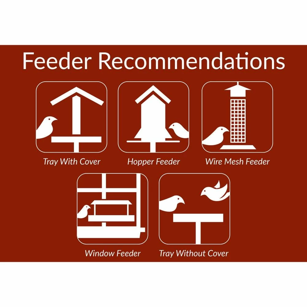 12 lbs. Golden Safflower Wild Bird Seed by Lyric 4 12 lbs. Golden Safflower Wild Bird Seed by Lyric - Image 4