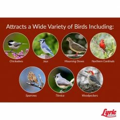 12 lbs. Golden Safflower Wild Bird Seed by Lyric 9 12 lbs. Golden Safflower Wild Bird Seed by Lyric -Cheap Bird & Wildlife Supplies Store lyric bird seed food 2647453 44 1000