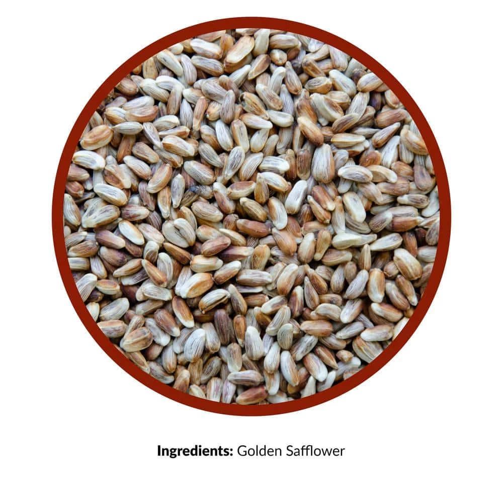12 lbs. Golden Safflower Wild Bird Seed by Lyric 3 12 lbs. Golden Safflower Wild Bird Seed by Lyric - Image 3