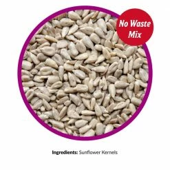25 lb. Sunflower Kernels by Lyric 10 25 lb. Sunflower Kernels by Lyric -Cheap Bird & Wildlife Supplies Store lyric bird seed food 2647454 1f 1000