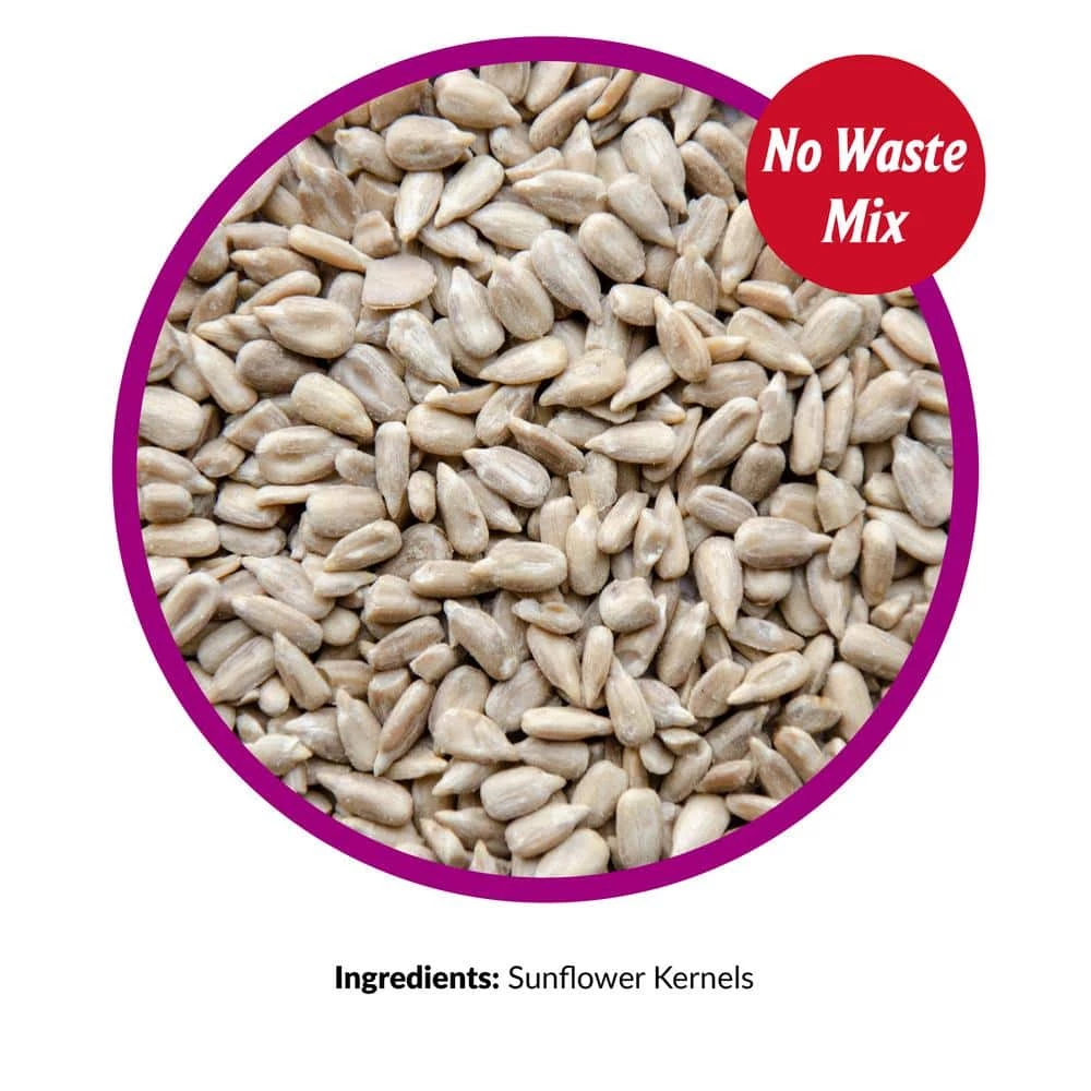 25 lb. Sunflower Kernels by Lyric 4 25 lb. Sunflower Kernels by Lyric - Image 4