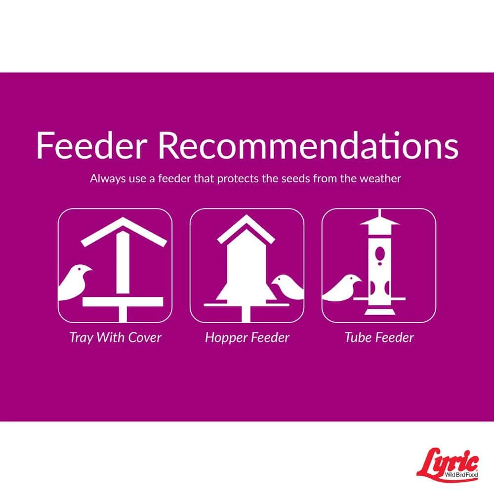 25 lb. Sunflower Kernels by Lyric 5 25 lb. Sunflower Kernels by Lyric - Image 5