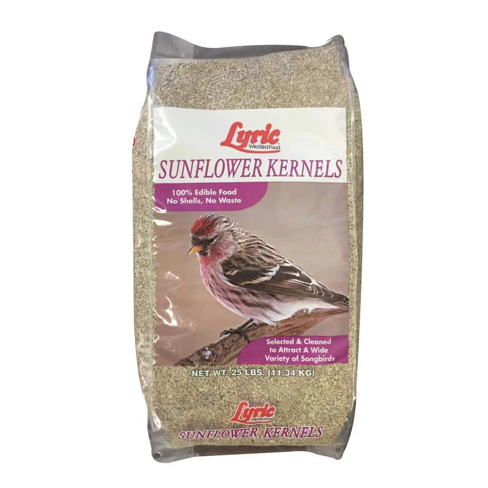 25 lb. Sunflower Kernels by Lyric 1 25 lb. Sunflower Kernels by Lyric