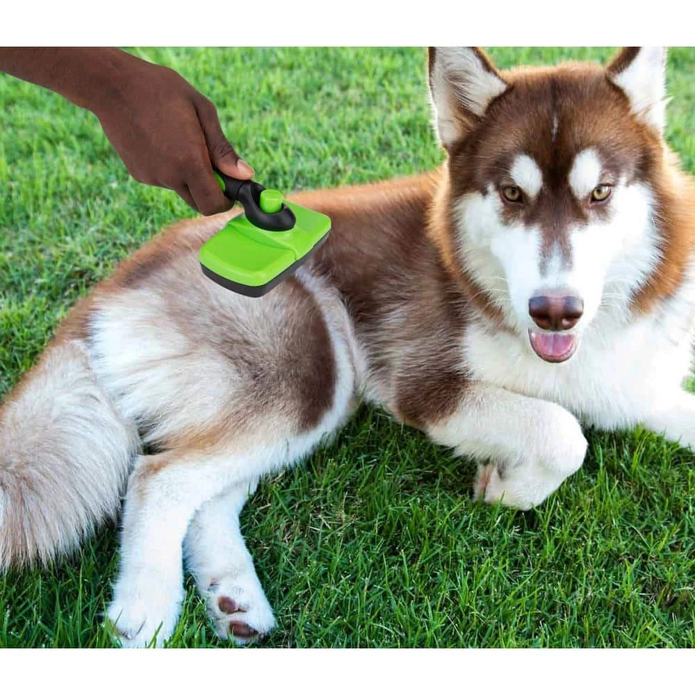 Pet Grooming Brush in Green by Mind Reader 7 Pet Grooming Brush in Green by Mind Reader - Image 7