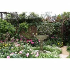 26.5 in. H Cast Stone Fiberglass Rose Birdbath in an Aged Granite Finish by MPG 5 26.5 in. H Cast Stone Fiberglass Rose Birdbath in an Aged Granite Finish by MPG -Cheap Bird & Wildlife Supplies Store mpg bird bath fountains pf7649ag 4f 1000