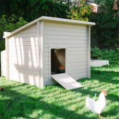 Fontana ECOFLEX Tan Jumbo Chicken Barn by New Age Pet 10 Fontana ECOFLEX Tan Jumbo Chicken Barn by New Age Pet -Cheap Bird & Wildlife Supplies Store new age pet chicken coops echk503 b 44 1000
