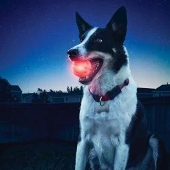 GlowStreak LED Ball Red by Nite Ize 15 GlowStreak LED Ball Red by Nite Ize -Cheap Bird & Wildlife Supplies Store nite ize dog toys gsb 10 r7 76 1000
