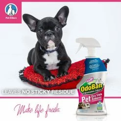 32 oz. Pet Oxy Stain Remover, Oxygen Activated Hydrogen Peroxide Pet Stain Remover for Carpet & Fabric, Fragrance Free by OdoBan 9 32 oz. Pet Oxy Stain Remover, Oxygen Activated Hydrogen Peroxide Pet Stain Remover for Carpet & Fabric, Fragrance Free by OdoBan -Cheap Bird & Wildlife Supplies Store odoban pet stain odor remover 961561 q c3 1000
