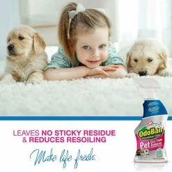 32 oz. Pet Oxy Stain Remover (2-Pack) by OdoBan 9 32 oz. Pet Oxy Stain Remover (2-Pack) by OdoBan -Cheap Bird & Wildlife Supplies Store odoban pet stain odor remover 961561 q2 4f 1000