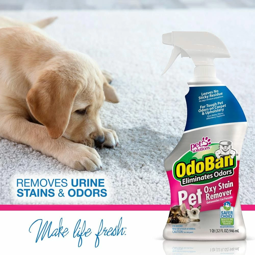 32 oz. Pet Oxy Stain Remover (2-Pack) by OdoBan 3 32 oz. Pet Oxy Stain Remover (2-Pack) by OdoBan - Image 3