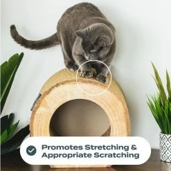 Birch Cat Scratcher by PARK AND BENCH -Cheap Bird & Wildlife Supplies Store park and bench cat trees scratch posts pb bh1 a0 1000