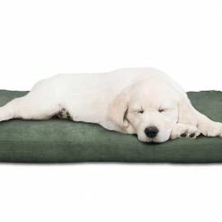 Jumbo Forest Orthopedic Super Foam Pet Bed by PAW -Cheap Bird & Wildlife Supplies Store paw dog beds pillows 80 00338 4f 1000
