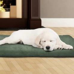 Jumbo Forest Orthopedic Super Foam Pet Bed by PAW