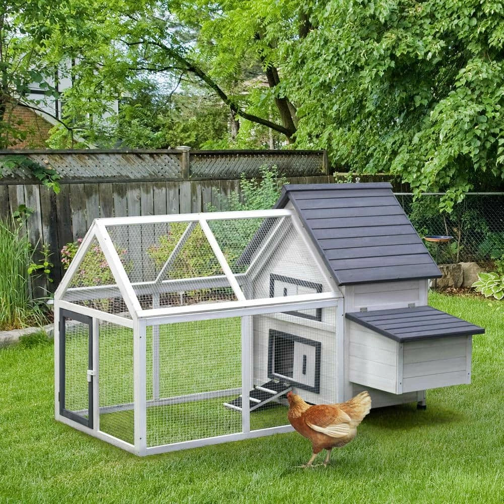Grey and White Wooden 0.07-Acre In-Ground Poultry Cage with Nesting Box, Ramp, Run by PawHut 2 Grey and White Wooden 0.07-Acre In-Ground Poultry Cage with Nesting Box, Ramp, Run by PawHut - Image 2