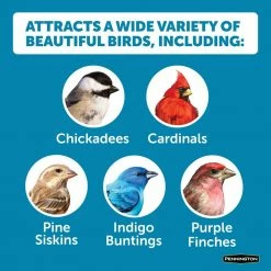 Ultimate 7 lbs. Songbird Food Seed Blend by Pennington -Cheap Bird & Wildlife Supplies Store pennington bird seed food 100542047 4f 1000