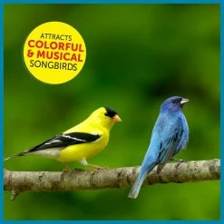 Ultimate 7 lbs. Songbird Food Seed Blend by Pennington -Cheap Bird & Wildlife Supplies Store pennington bird seed food 100542047 76 1000