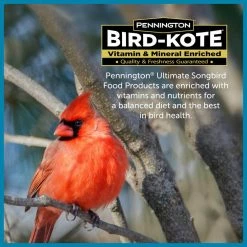 Ultimate 7 lbs. Songbird Food Seed Blend by Pennington -Cheap Bird & Wildlife Supplies Store pennington bird seed food 100542047 fa 1000