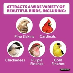 7 lbs. Ultimate Nut and Fruit Bird Seed Blend by Pennington -Cheap Bird & Wildlife Supplies Store pennington bird seed food 100542049 4f 1000