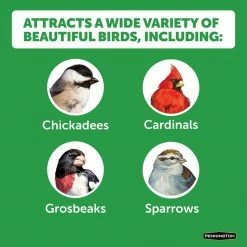 Premium 7 lbs. Safflower Bird Seed Bird Food by Pennington 10 Premium 7 lbs. Safflower Bird Seed Bird Food by Pennington -Cheap Bird & Wildlife Supplies Store pennington bird seed food 100542051 4f 1000