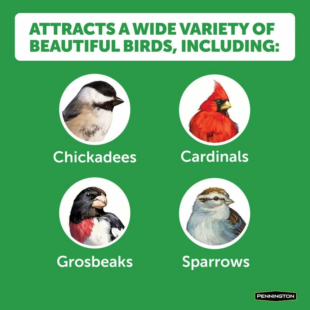 Premium 7 lbs. Safflower Bird Seed Bird Food by Pennington 4 Premium 7 lbs. Safflower Bird Seed Bird Food by Pennington - Image 4