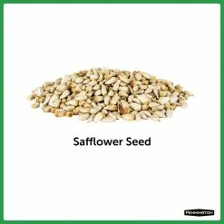 Premium 7 lbs. Safflower Bird Seed Bird Food by Pennington 9 Premium 7 lbs. Safflower Bird Seed Bird Food by Pennington -Cheap Bird & Wildlife Supplies Store pennington bird seed food 100542051 c3 1000