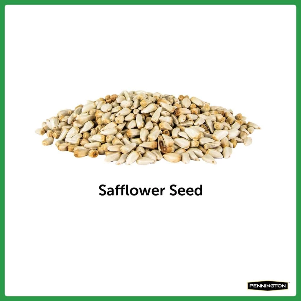 Premium 7 lbs. Safflower Bird Seed Bird Food by Pennington 3 Premium 7 lbs. Safflower Bird Seed Bird Food by Pennington - Image 3