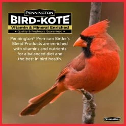 Premium 7 lbs. Birder's Seed Blend Bird Food by Pennington -Cheap Bird & Wildlife Supplies Store pennington bird seed food 100542053 fa 1000