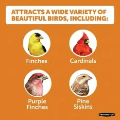 10 lbs. Premium Wild Finch Bird Food by Pennington -Cheap Bird & Wildlife Supplies Store pennington bird seed food 100542054 4f 1000