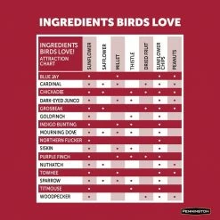 Premium 10 lbs. Black Oil Sunflower Bird Seed by Pennington -Cheap Bird & Wildlife Supplies Store pennington bird seed food 100542055 44 1000