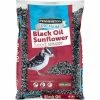 Premium 10 lbs. Black Oil Sunflower Bird Seed by Pennington