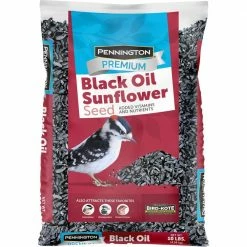 Premium 10 lbs. Black Oil Sunflower Bird Seed by Pennington