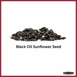 Premium 10 lbs. Black Oil Sunflower Bird Seed by Pennington -Cheap Bird & Wildlife Supplies Store pennington bird seed food 100542055 c3 1000