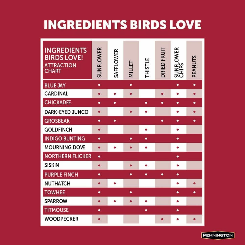 20 lbs. Premium Black Oil Sunflower Bird Seed by Pennington 6 20 lbs. Premium Black Oil Sunflower Bird Seed by Pennington - Image 6