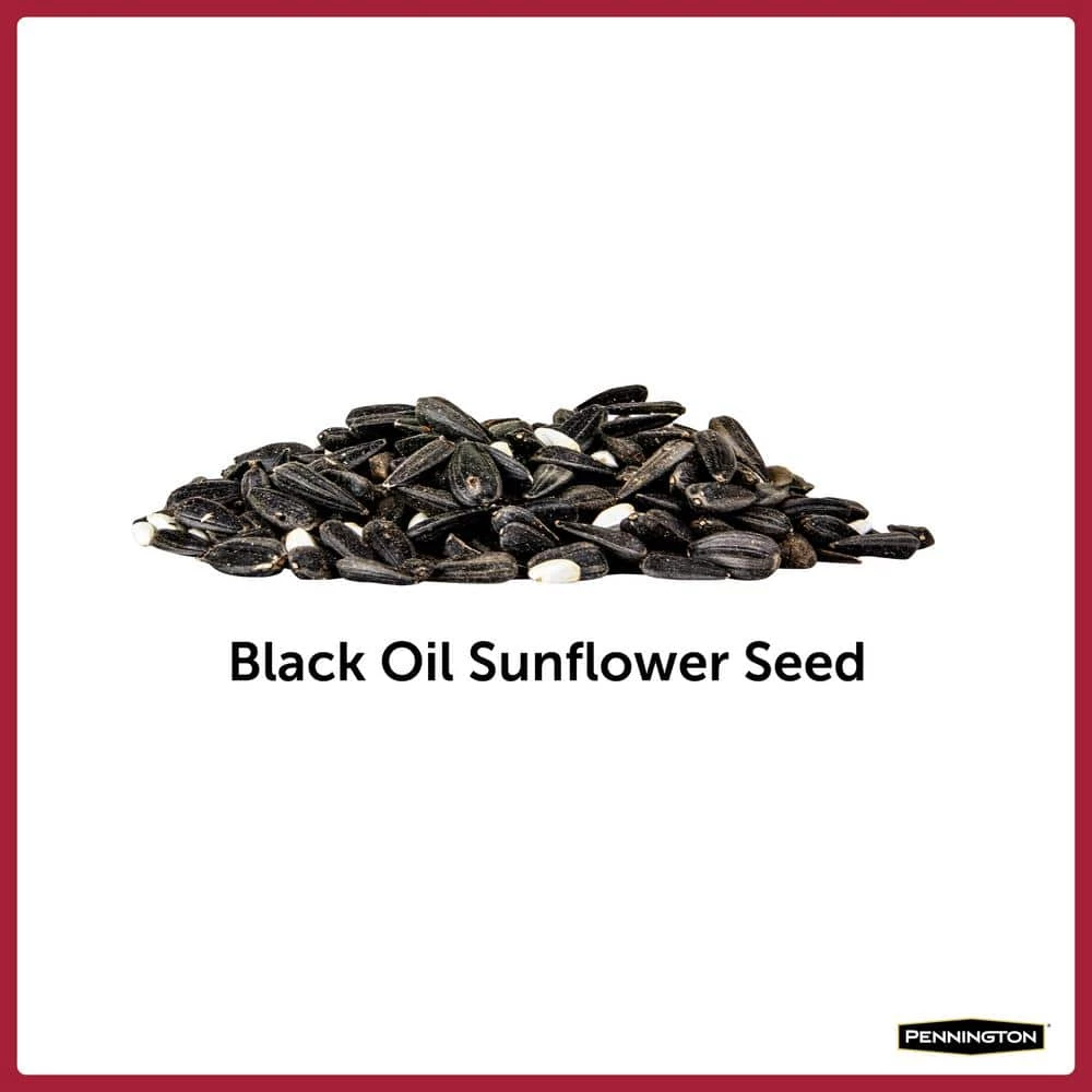 20 lbs. Premium Black Oil Sunflower Bird Seed by Pennington 3 20 lbs. Premium Black Oil Sunflower Bird Seed by Pennington - Image 3