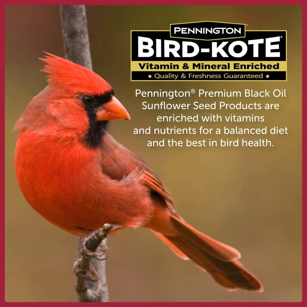 20 lbs. Premium Black Oil Sunflower Bird Seed by Pennington 7 20 lbs. Premium Black Oil Sunflower Bird Seed by Pennington - Image 7