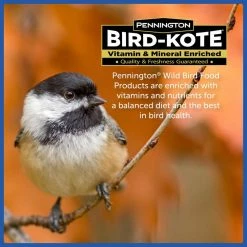 20 lbs. Wild Bird Seed Food by Pennington -Cheap Bird & Wildlife Supplies Store pennington bird seed food 100542060 fa 1000