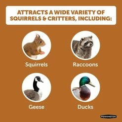 6.5 lbs. Squirrels Ear Corn Cobs by Pennington -Cheap Bird & Wildlife Supplies Store pennington bird seed food 100542062 4f 1000