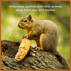 6.5 lbs. Squirrels Ear Corn Cobs by Pennington -Cheap Bird & Wildlife Supplies Store pennington bird seed food 100542062 fa 1000