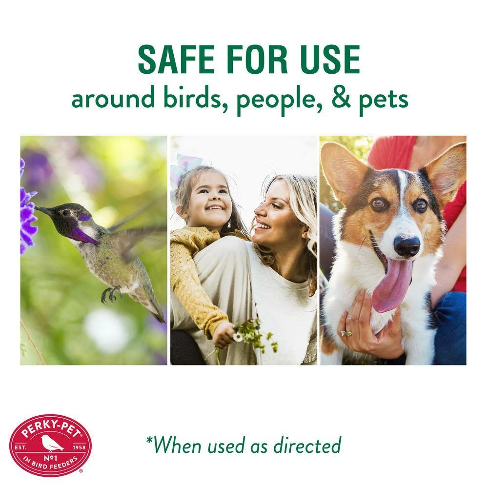 Ant Guard for Hummingbird Feeders by Perky-Pet 7 Ant Guard for Hummingbird Feeders by Perky-Pet - Image 7